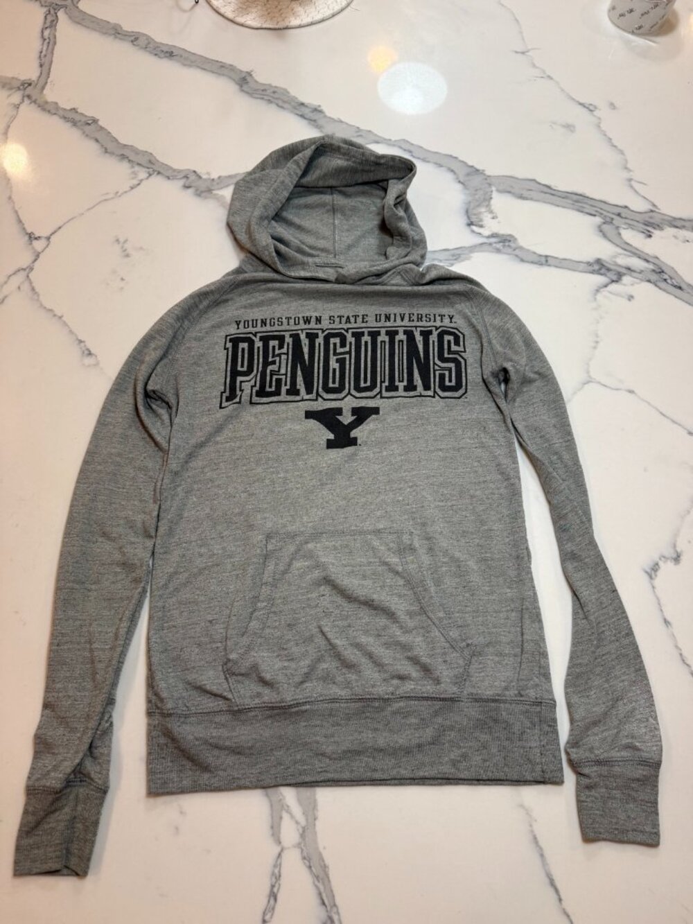 Alta Gracia YSU Penguins Gray Hoodie S